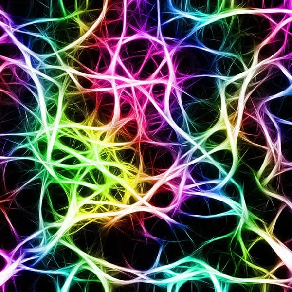 8089579_1582322102103Network_image (1)