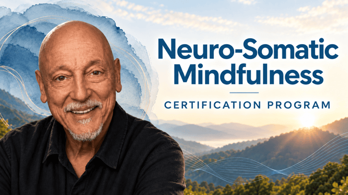 NSM Certification graphic for website