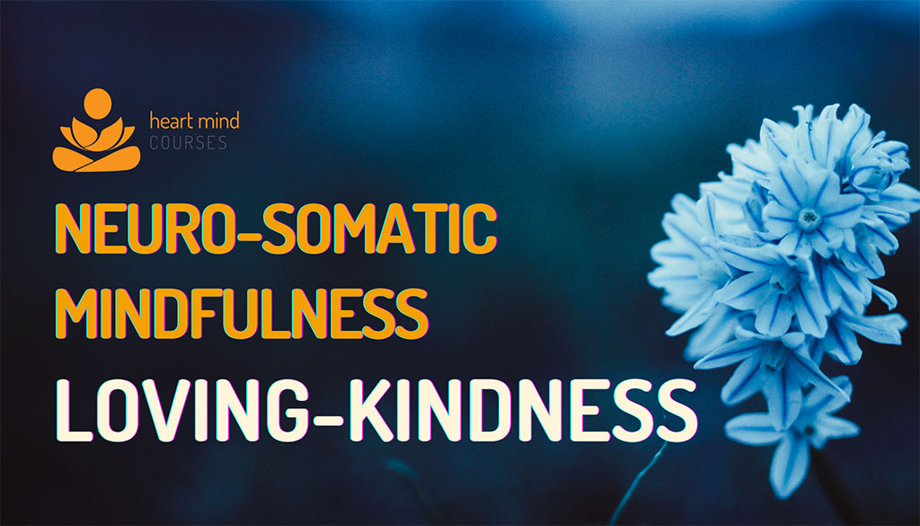 NSM_LOVING_KINDNESS_1024x768