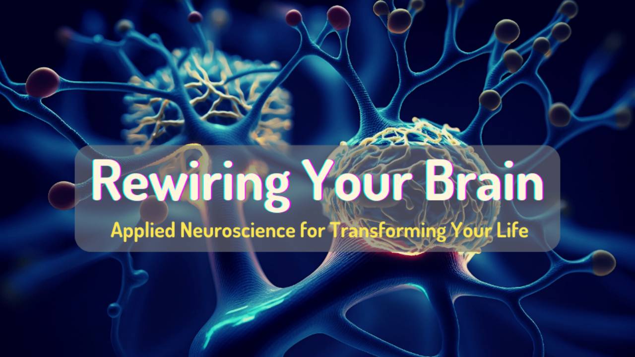 f21cd-4bfd-3333-62a2-1ed1b73c7225_Rewiring_Your_Brain_The_Ultimate_Course_1280_x_720_px_1_