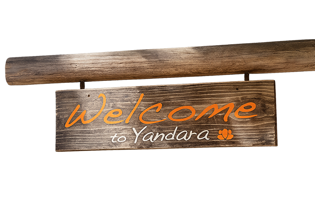 Welcome to Yandara